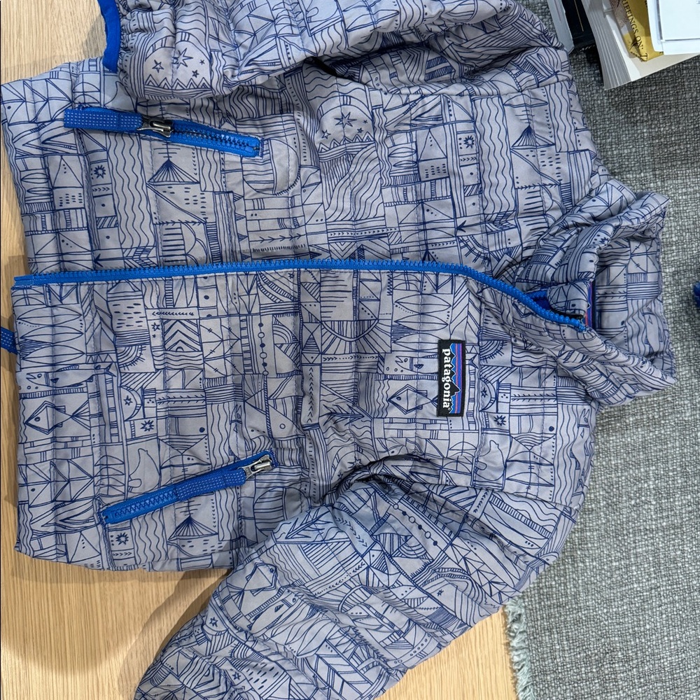 Toddler Patagonia down jacket.